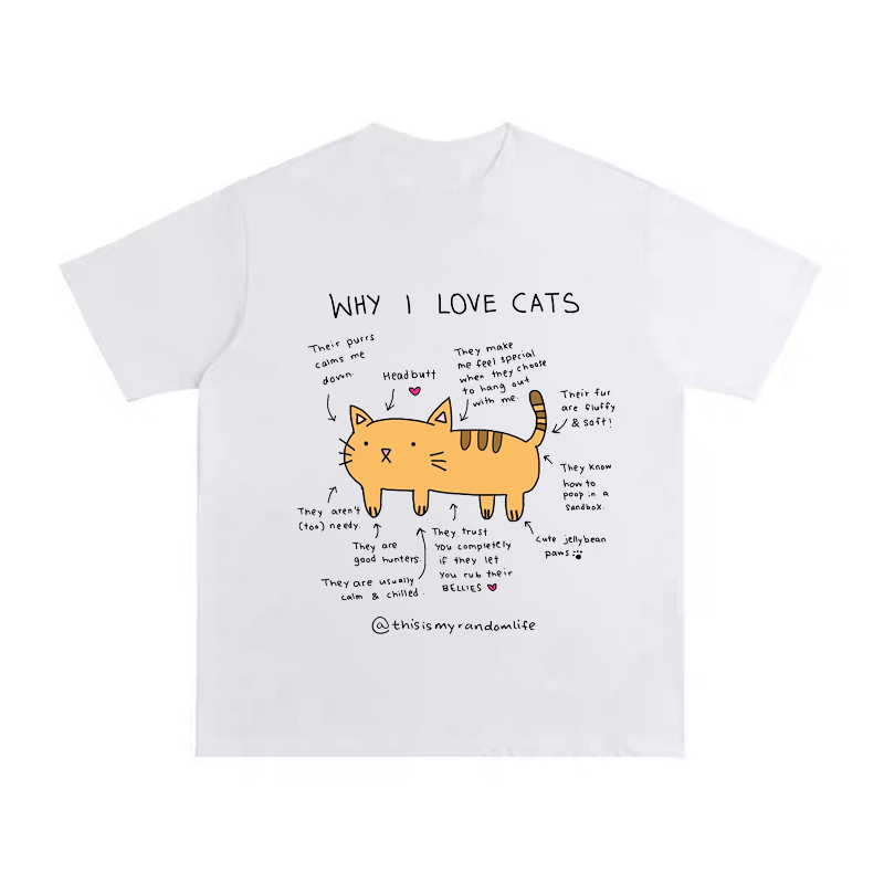 Żółty Kot Analiza Obrazek Nadr – Fashion Street Cat recenzja i cena