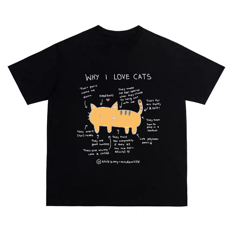 Żółty Kot Analiza Obrazek Nadr – Fashion Street Cat recenzja i cena